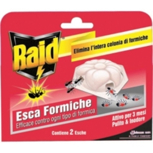 RAID Esche Formiche - 1 pezzo