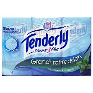 FAZZOLETTI TENDERLY GRANDI.RAF.6PZ