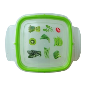 SNIPS Contenitore Quadrato - 0,5 litri