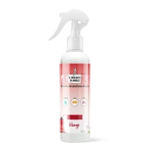 IL BUCATO DI ADELE Spray Tessuto Rouge - 250ml