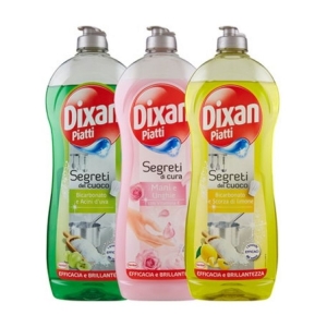 DIXAN Piatti Gel Segreti del Cuoco Efficacia e Brillantezza - 650ml